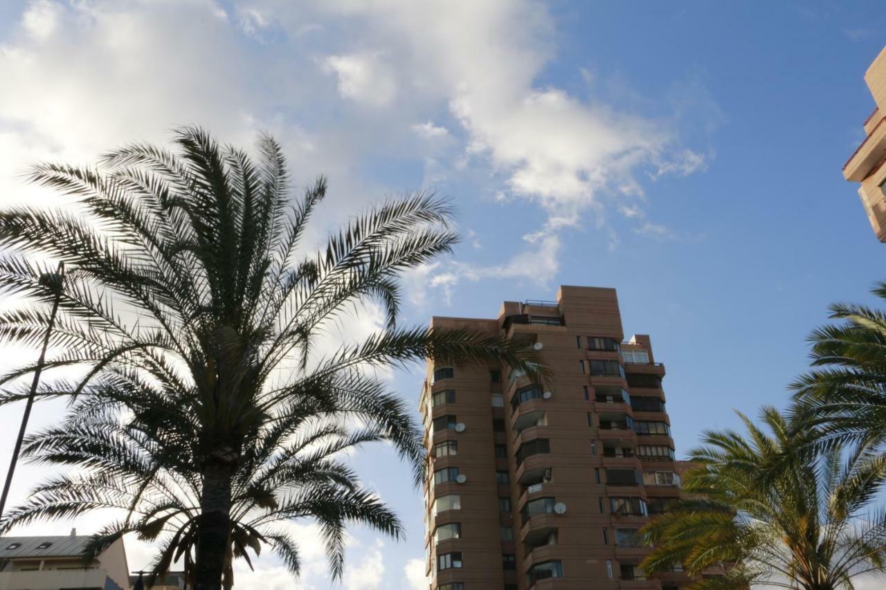 Sur Suites Palmeras 2 푸엔히롤라 외부 사진